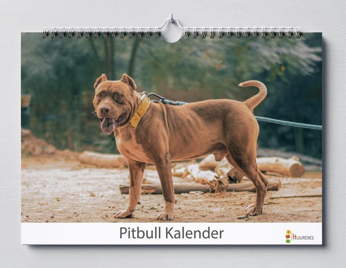 Pitbull verjaardagskalender | Pitbulls wandkalender | Verjaardagskalender 35x24 cm