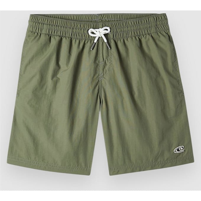 O'Neill Vert 14 Kids Boardshorts groen