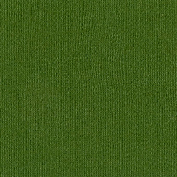Bazzill Textuurpapier - Mono Canvas - 30.5x30.5cm - Ivy - 25 vellen