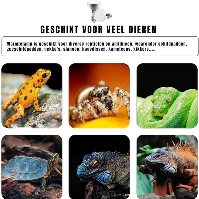 Thuys – Warmtelamp Reptielen – Terrarium – Warntelamo – Wit
