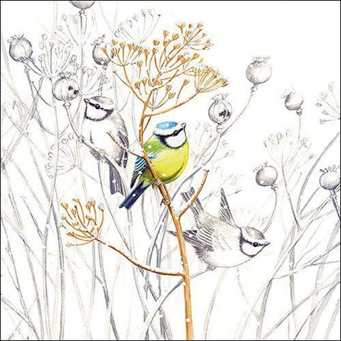CraftEmotions servetten 5st - Koolmeesje 33x33cm Ambiente 13316705