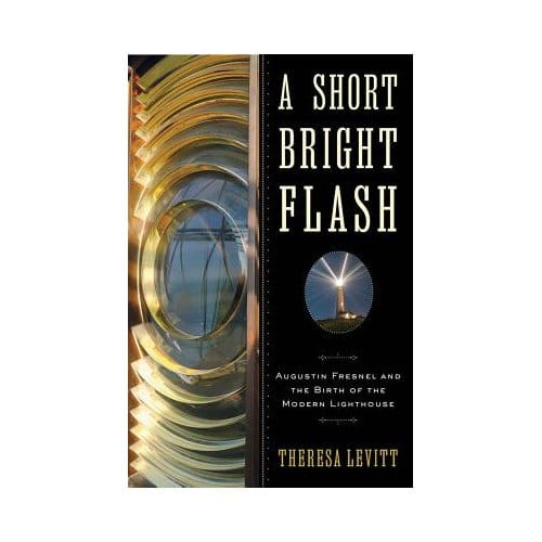 A Short Bright Flash - Levitt, Theresa