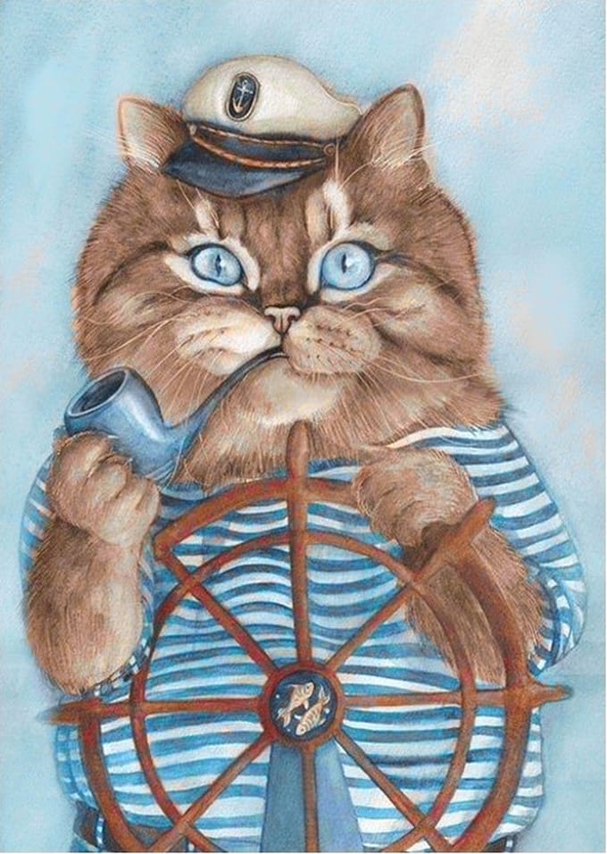 Wizardi diamond painting - CAPTAIN - 27 x 38 cm - vierkante steentjes - full cover