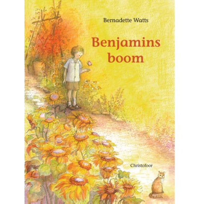Benjamins Boom - Bernadette Watts