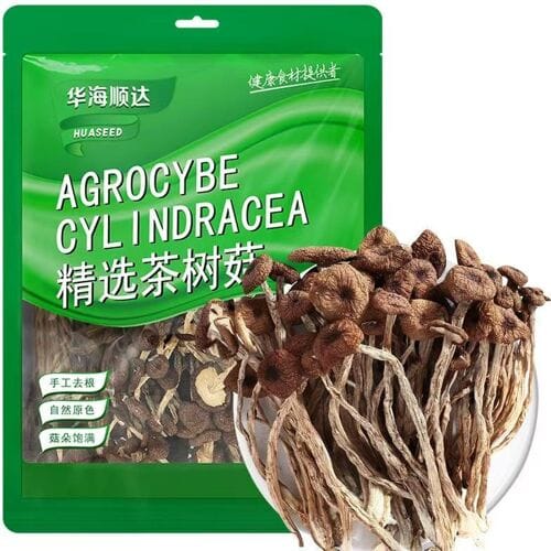 Huaseed Agrocybe Cylindracea 150 g