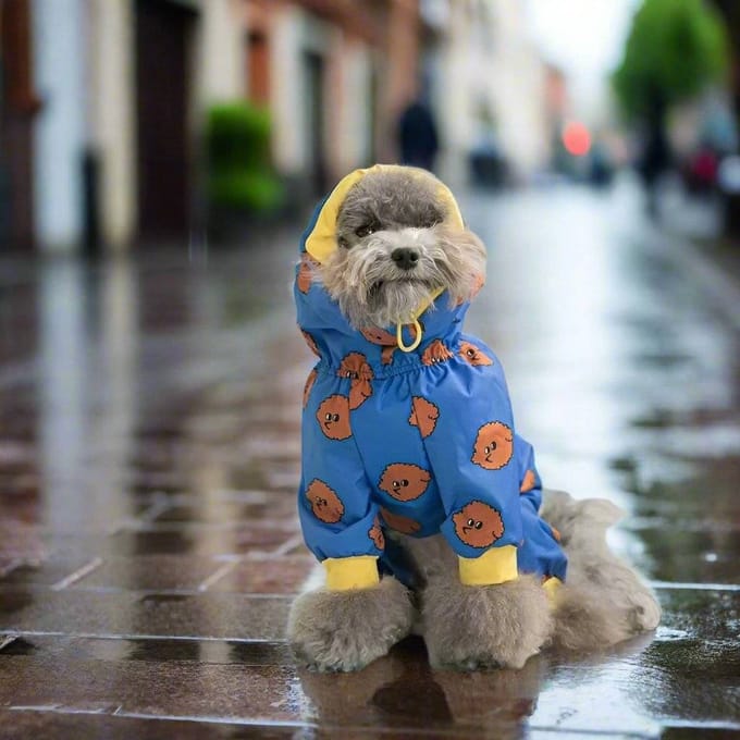 Dog raincoat with legs