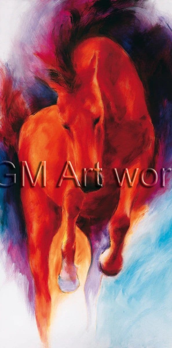 Kunstdruk Thomas Aeffner - Freiheit 50x100cm