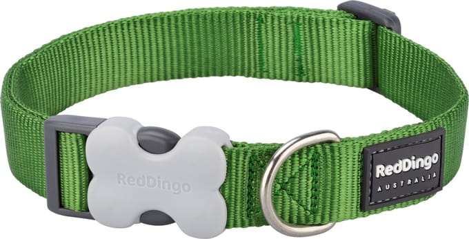 Red Dingo Halsband Hond 12mm x 20-32cm DC-ZZ-GR-12