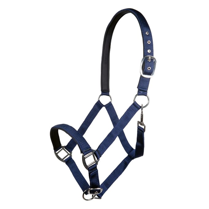 Nylon halster voor paard met zachte voering HKM Charming