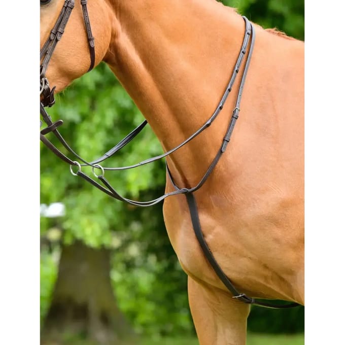Plein martingale voor racepaarden Collegiate Comfitec Opulux