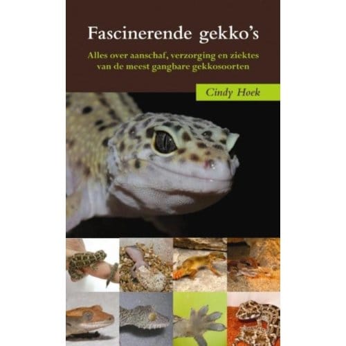 Fascinerende Gekko's - C. Hoek