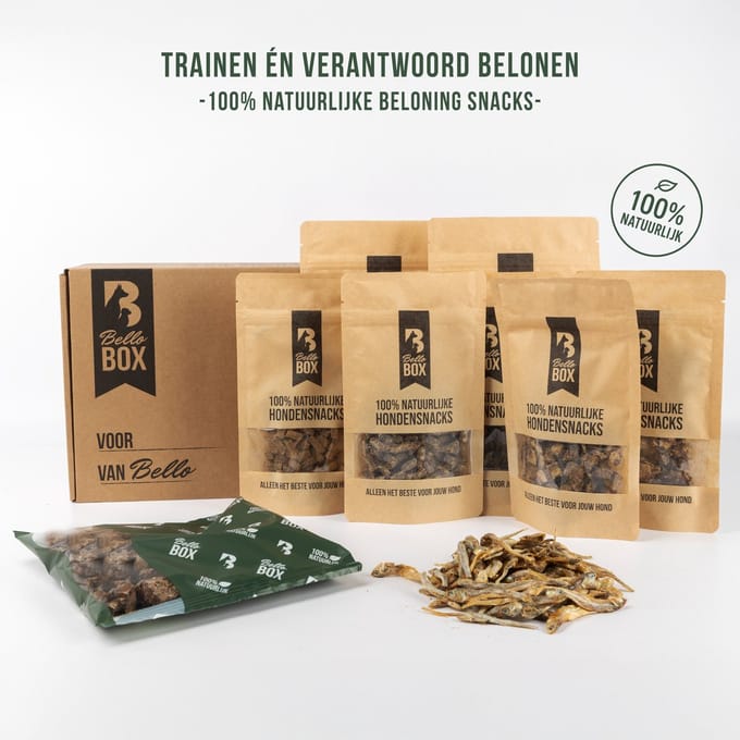 Trainingssnacks Box – Natuurlijke Beloningssnacks | Bellobox