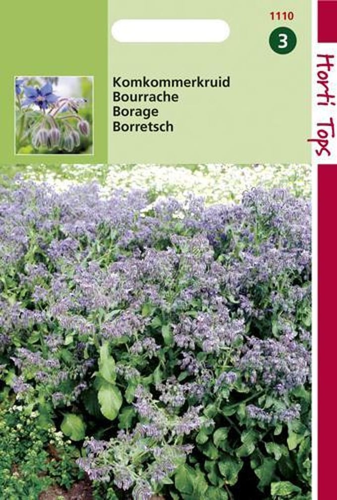 Hortitops Zaden - Komkommerkruid (Borage)