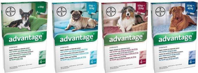 Advantage 400 - Hond - 25 tot 40 kg - 4 pipetten x 4 ml