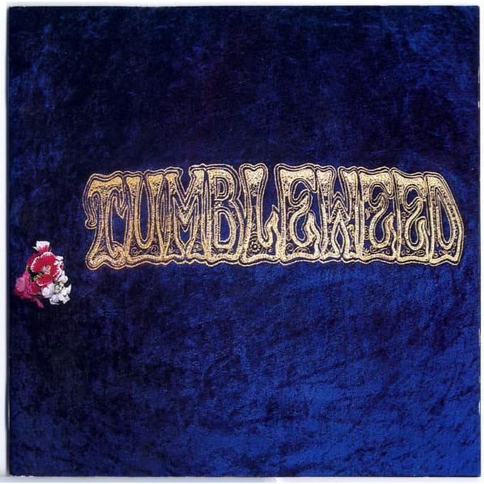 CD TUMBLEWEED - Tumbleweed D24013 Waterfront Reco 1992 Australië Rock Gebruikt blue