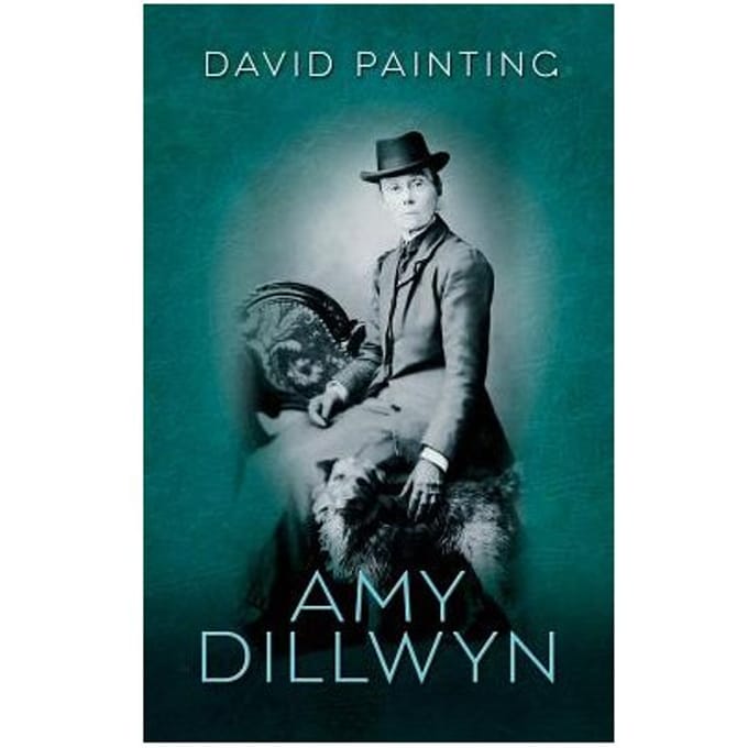 Amy Dillwyn - David Painting