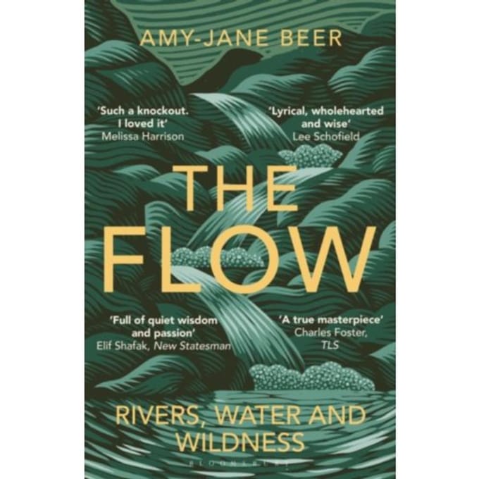 The Flow - Amy-Jane Beer