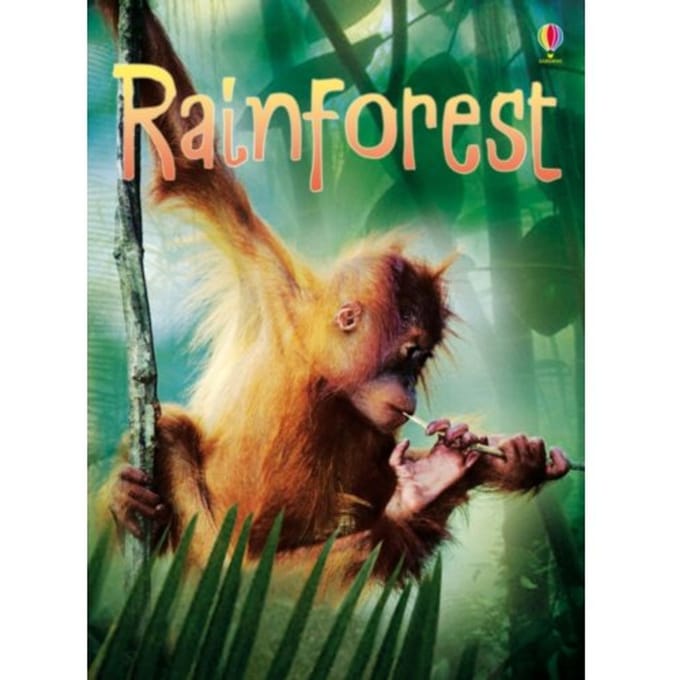 Rainforests - Beginners - Lucy Bowman