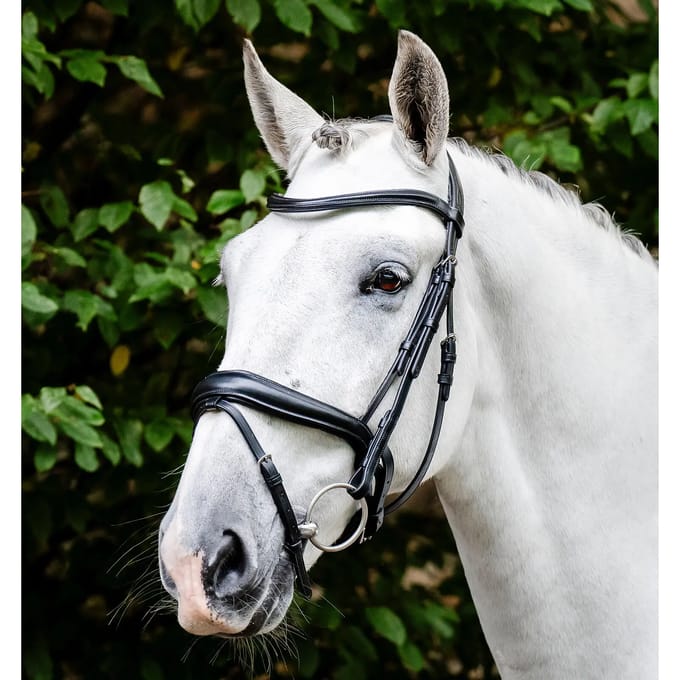 Hoofdstel Horseware Dressage Flash