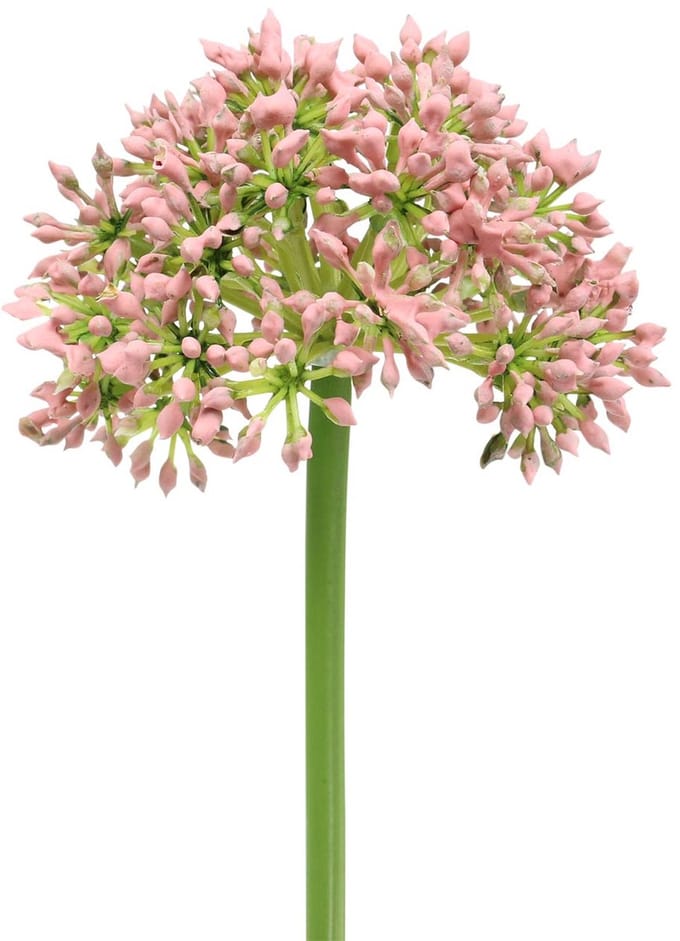 Allium kunstmatig Roze 55cm