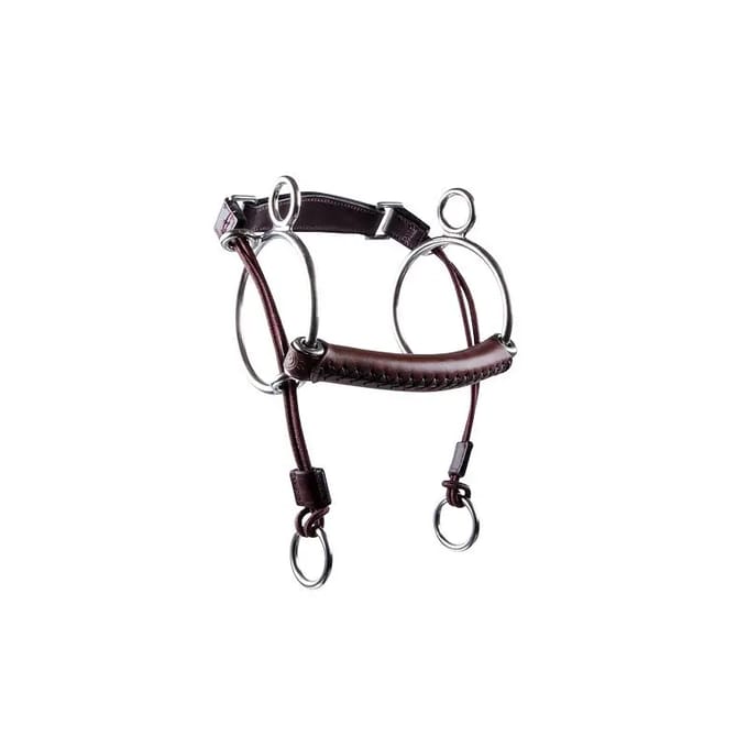 Combiné bit voor paard Trust Curbgag