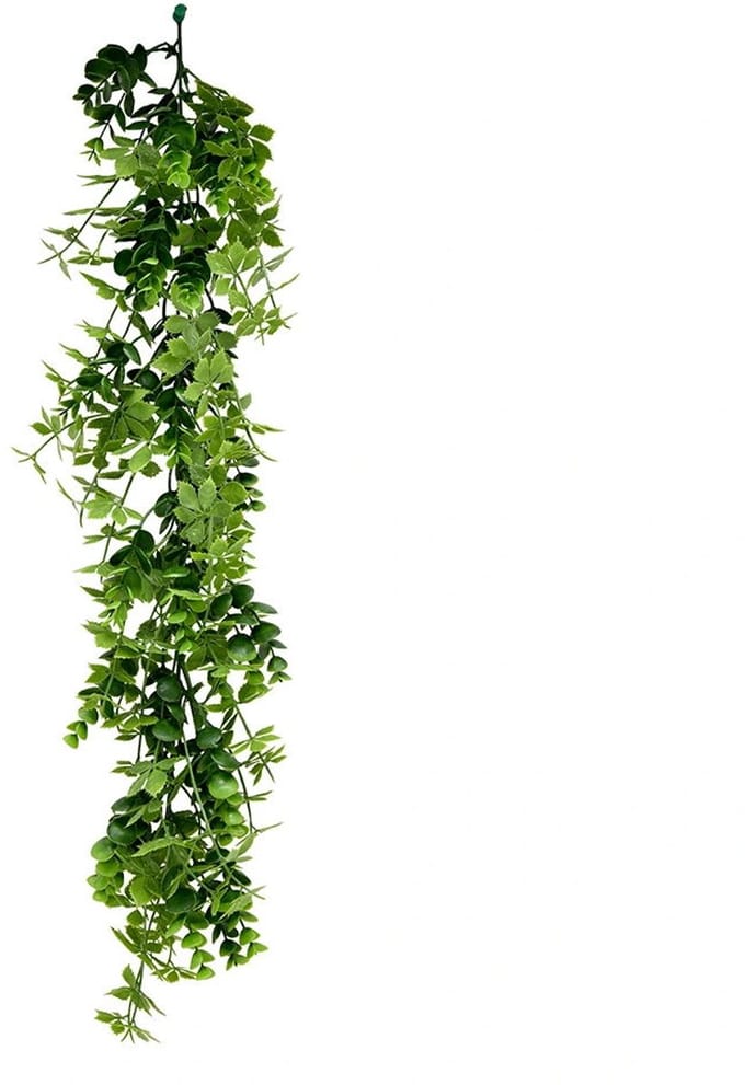 Hanger eucalyptus 75 cm kunsttak Buitengewoon de Boet