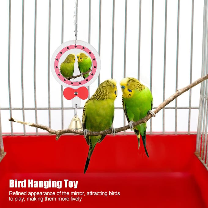 Schommel Hangende Leren Spiegel Speeltje met Bel voor Papegaai Vogelkooi Decoratie Accessoire white
