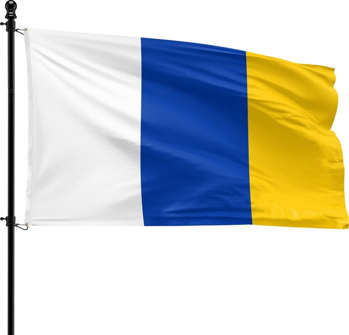 VlagDirect - Doetinchem vlag - Gemeente Doetinchem vlag - 90 x 150 cm.
