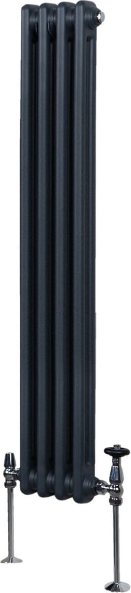 Traditionele 2-kolomsradiator - antracietgrijs - 1500x202 mm - en442