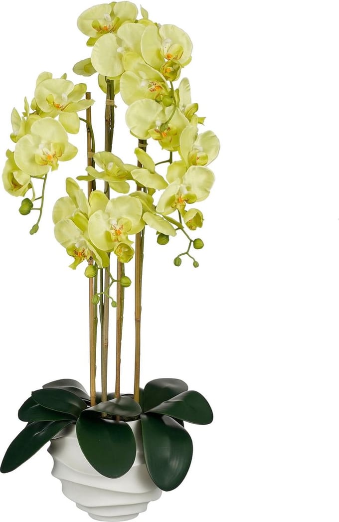 Mica Decorations Kunstplant Phalaenopsis - 40x34x82 cm - Polyester - Groen
