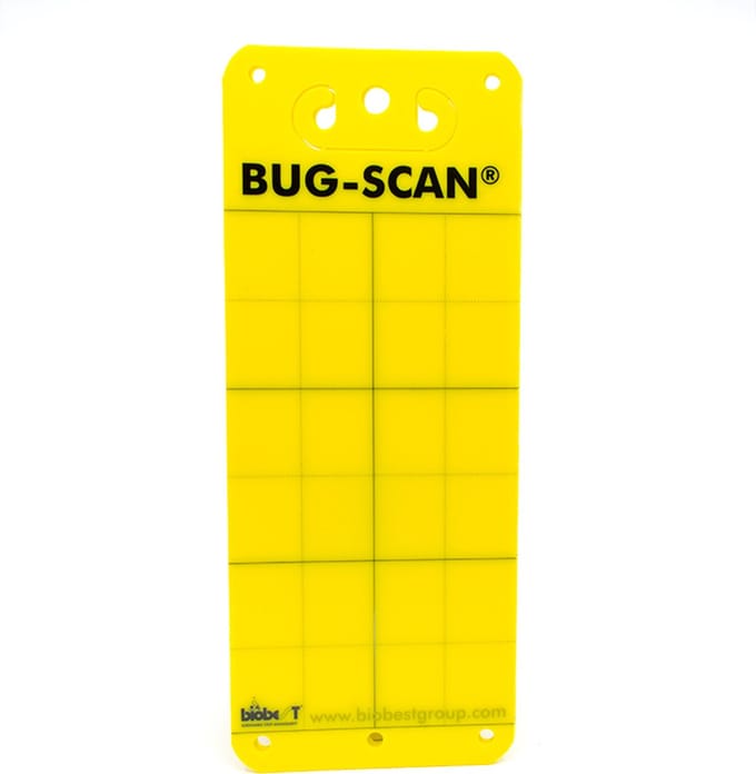 Vangplaten Geel 10x25 cm - gele vangplaat tegen insecten