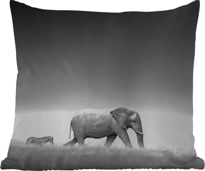 Tuinkussen - Olifant - Dieren - Landschap - Zwart wit - zebra - 40x40 cm - Weerbestendig