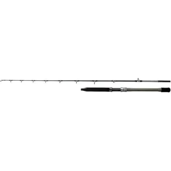 Spinhengel Shimano Speedmaster AX Deep 500-1000g