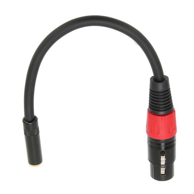3.5mm naar XLR Female Kabel Professionele Mini Jack Microfoon Converter Draad voor Camera ComputerXLR 2cm / 7.87in