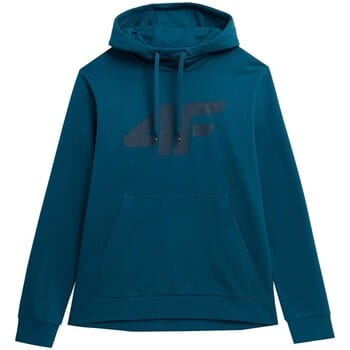 Capuchon sweaters 4F TSWSM353