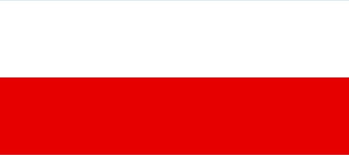 Vlag Mannheim 100x150cm