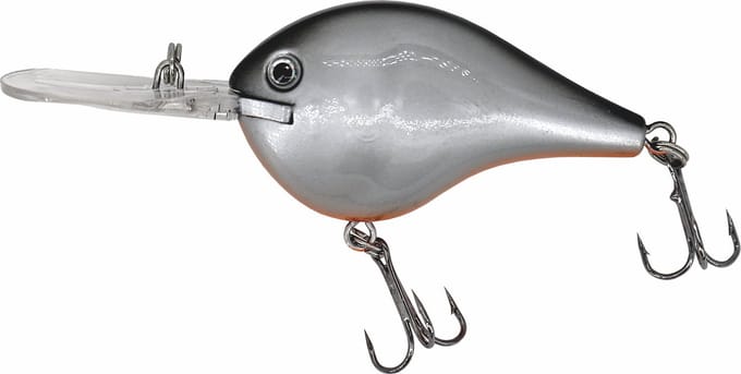 Albatros Catch21 Fat Belly Silver Shiner
