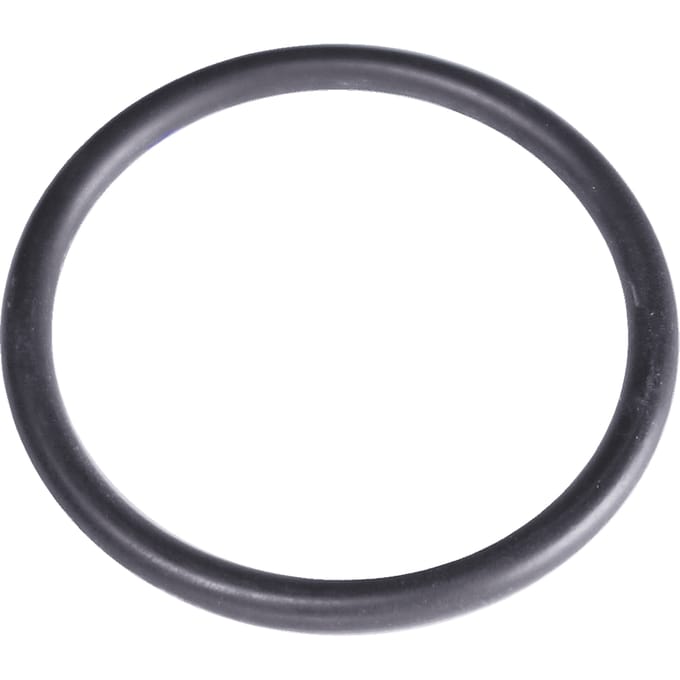 O-ring 1"