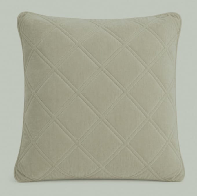 Luxe velvet kussen grijs-groen 50×50 cm