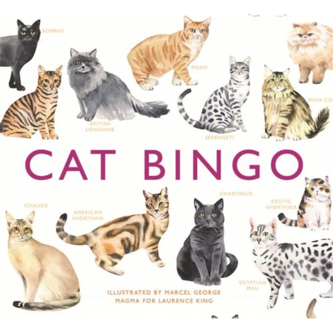 Cat Bingo - George, Marcel