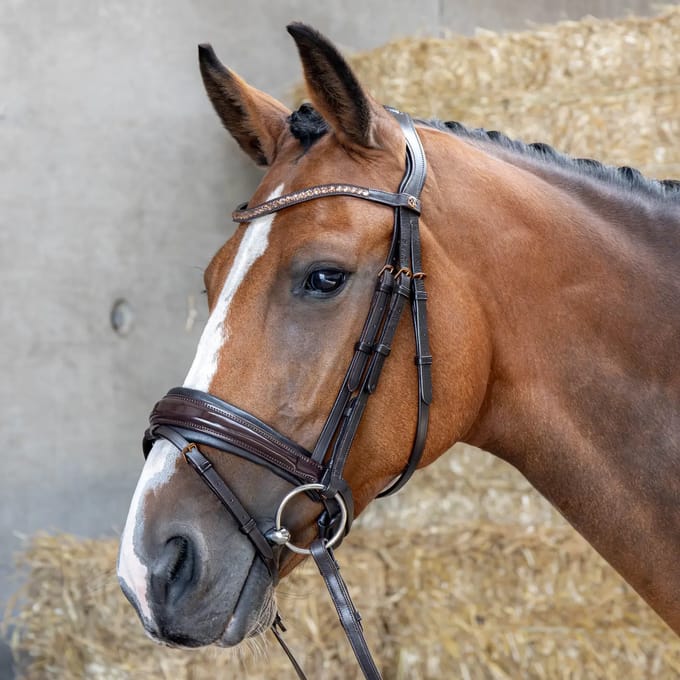 Gecombineerd hoofdstel met neusriem Harry's Horse Copper