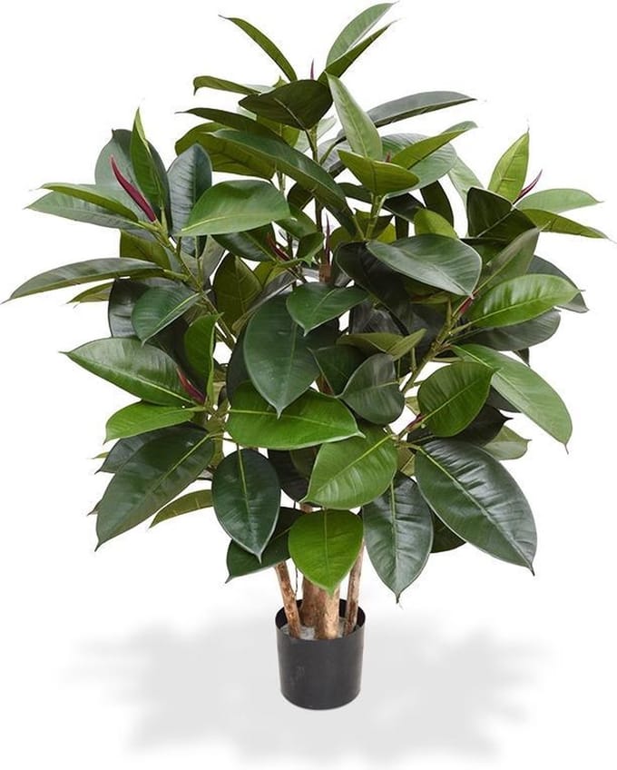 Elastica Robusta kunstplant 90cm - groen
