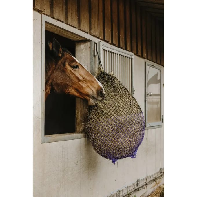 Hooi net Hippotonic Fin