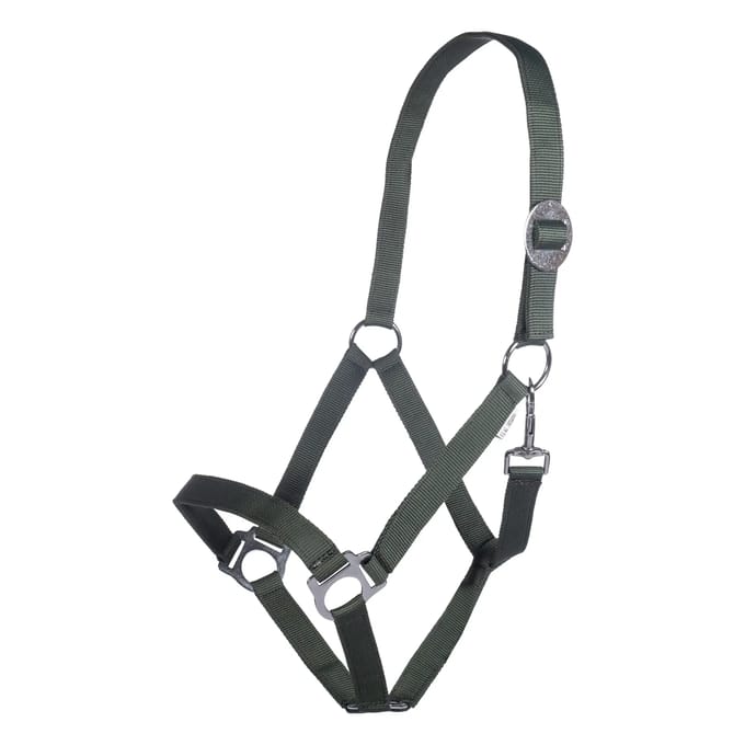 Halster voor paarden HKM Stars Economy
