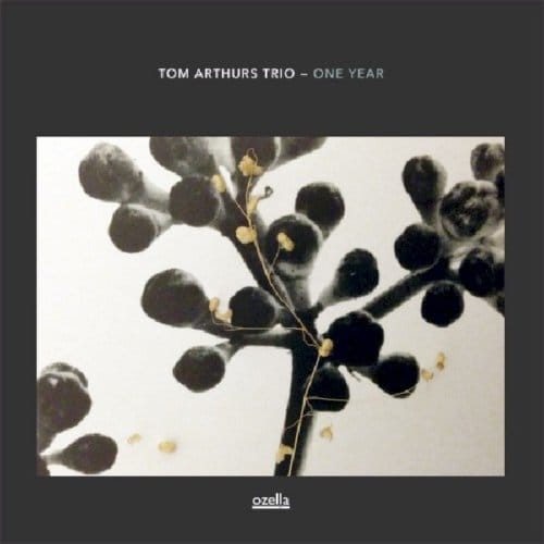 Tom Arthurs Trio - One Year (LP) (Limited Edition)