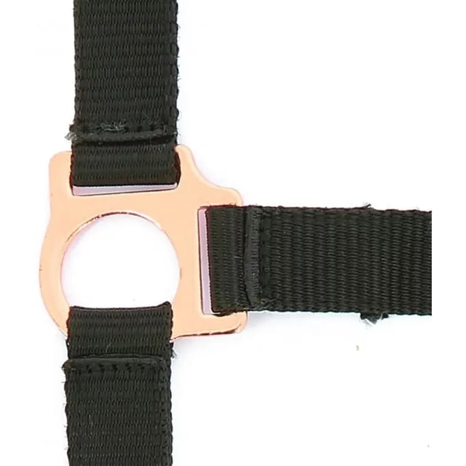 Halster voor paarden Norton Rose gold