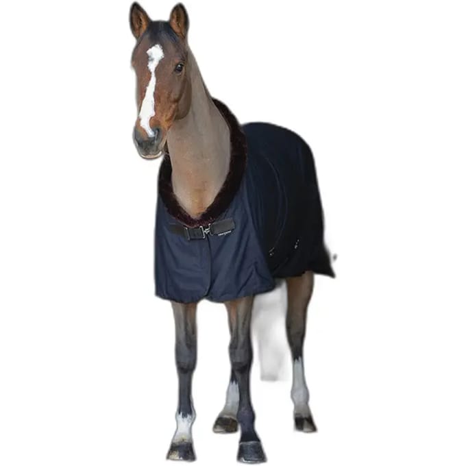 Paardenhemd drogen Equithème Teddy 0g