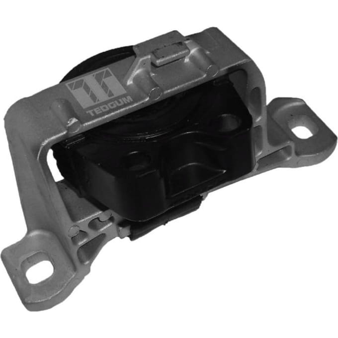 Steun, motorophanging TEDGUM 00221651