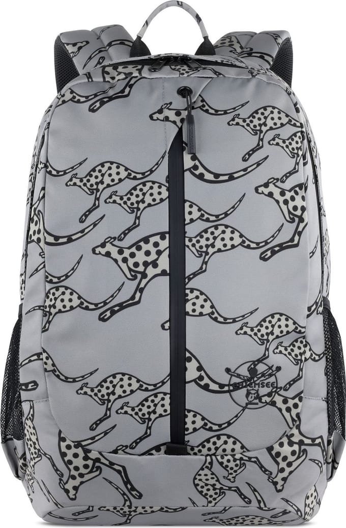 CHIEMSEE vrijetijdsrugzak rugzak met laptopvak Jump N Fly Backpack Grey grijs