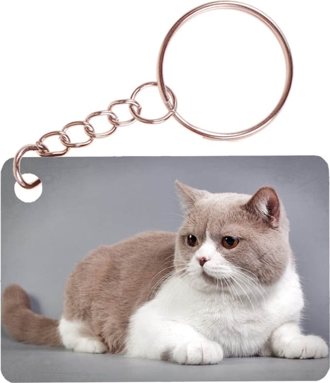 Sleutelhanger 6x4cm - Britse Korthaar Liggend
